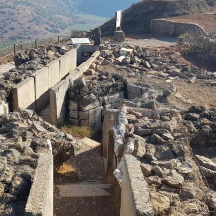 From Mount Hermon To Gilboa In 5 Days