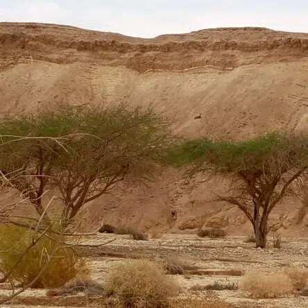 From Tel Aviv To Eilat In 4 Days