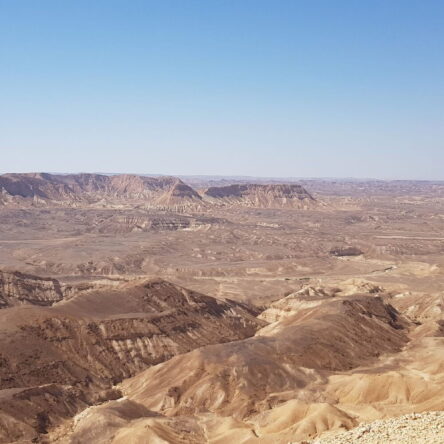 10 Challenging Days Of Off Road Driving