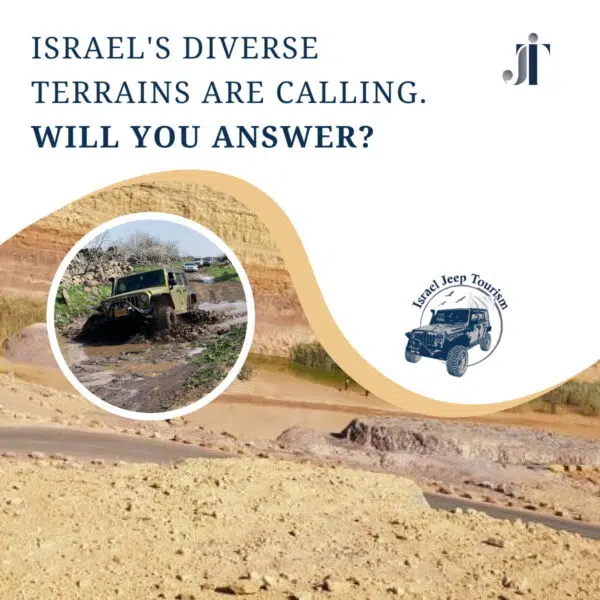 Jeep Tours