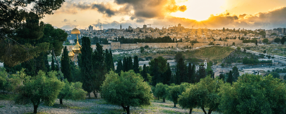 Jeeping In Jerusalem