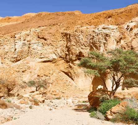 Exploring The Negev Desert: Negev Jeep Tours