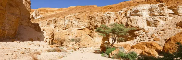 Negev Jeep Tours