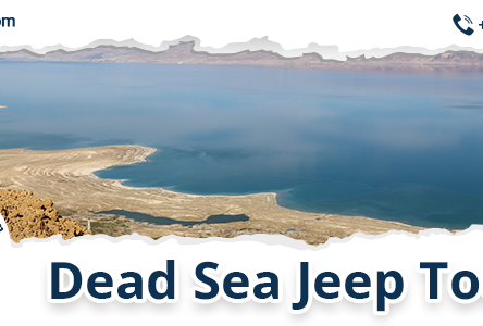 Discovering Hidden Wonders: Dead Sea Jeep Tours With Israel Jeep Tourism