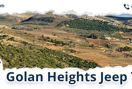 Discovering Hidden Gems: The Golan Heights Jeep Tour Experience