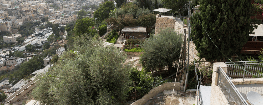 Best Tours in Jerusalem