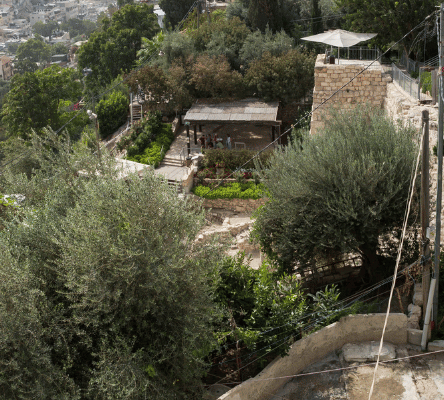 Unveiling The Best Tours In Jerusalem: Exploring The City’s Treasures With Israel Jeep Tourism