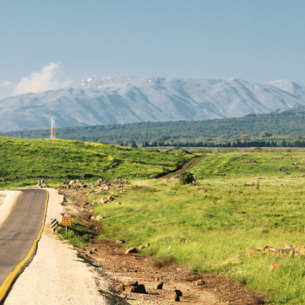 Discovering Hidden Gems: The Golan Heights Jeep Tour Experience