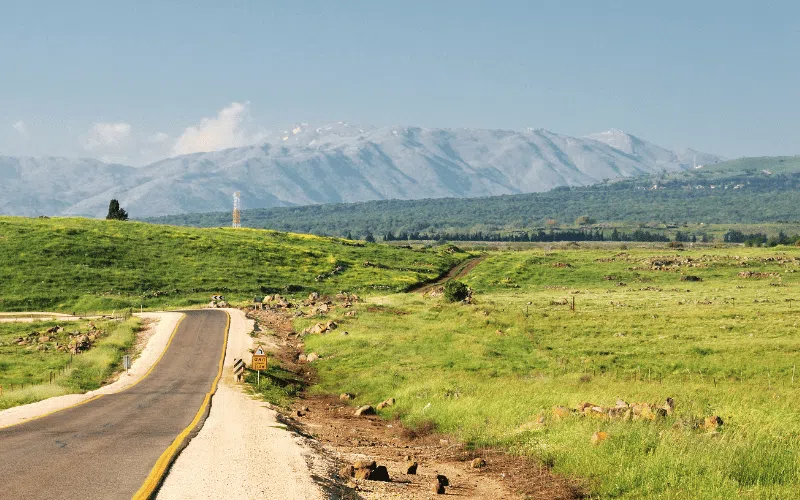 The Golan Heights Jeep Tour Experience