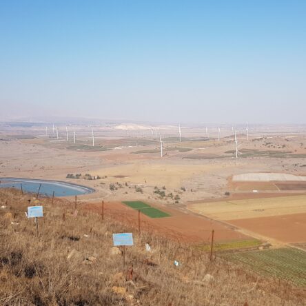 The Best Israel Tours For Seniors By Israel Jeep Tourism