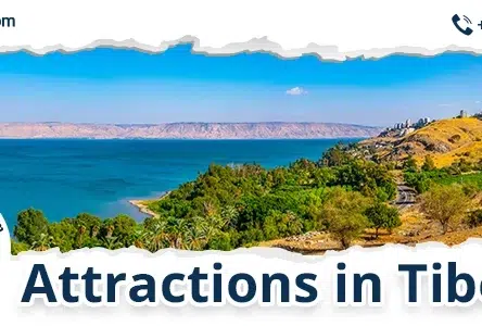 Attraction In Masada: Exploring Israel’s Rich History Through Israel Jeep Tourism’s Jeep Tours