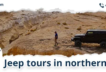 Attraction In Masada: Exploring Israel’s Rich History Through Israel Jeep Tourism’s Jeep Tours