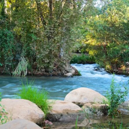 Jeeping By The Jordan River: An Unforgettable Adventure With Israel Jeep Tourism