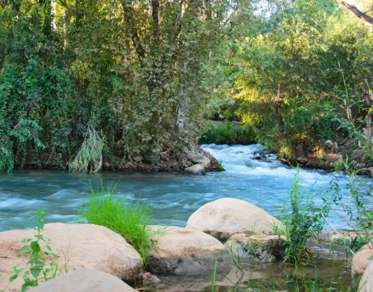 Jeeping By The Jordan River: An Unforgettable Adventure With Israel Jeep Tourism