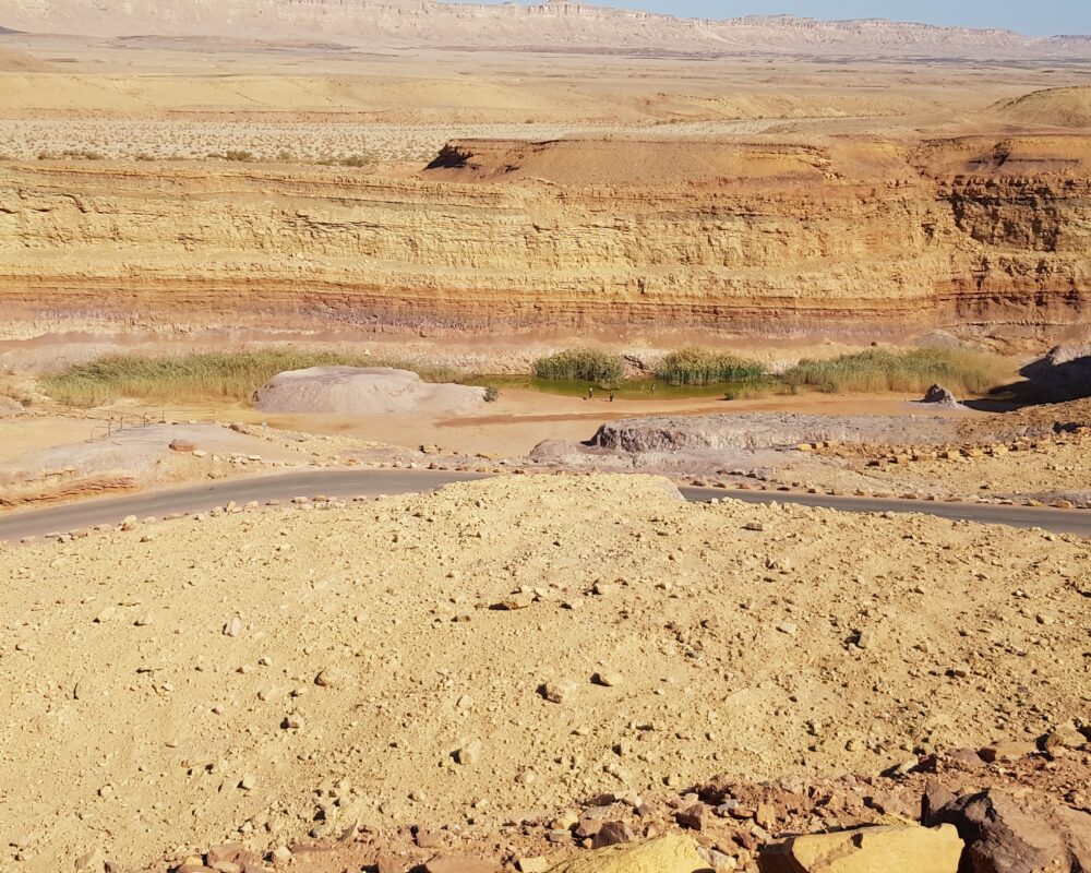 Israel Private Tour Guide: Unveiling The Desert’s Majesty With Israel Jeep Tourism