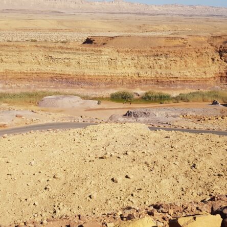 Israel Private Tour Guide: Unveiling The Desert’s Majesty With Israel Jeep Tourism