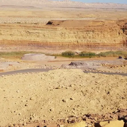 Israel Private Tour Guide: Unveiling The Desert’s Majesty With Israel Jeep Tourism
