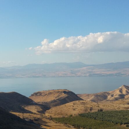 Jeeping By The Jordan River: An Unforgettable Adventure With Israel Jeep Tourism