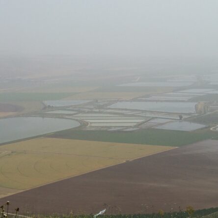 Jeeping By The Jordan River: An Unforgettable Adventure With Israel Jeep Tourism