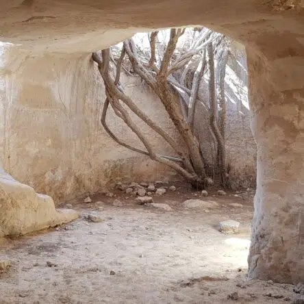 Plan Your Next Trip To Jerusalem With Our Israel Vacation Packages