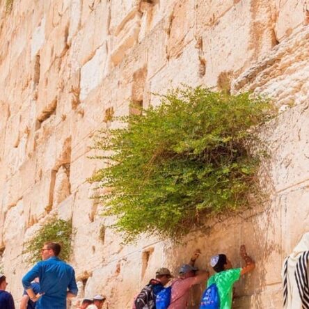 Plan Your Religious Trip To Israel With Israel Jeep Tourism