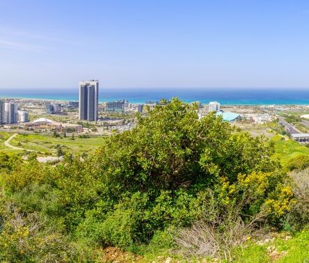 All Inclusive Trip To Israel With Israel Jeep Tourism
