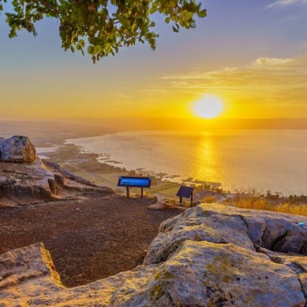 Biblical Trips To Israel With Israel Jeep Tourism