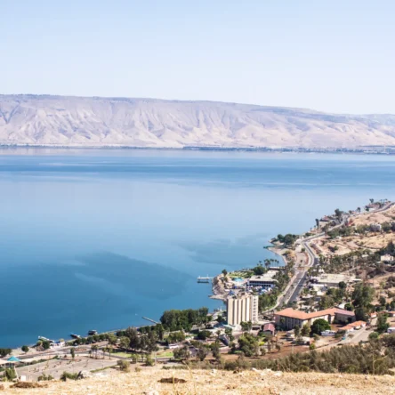Experience The Best Jeeping In Tiberias With Israel Jeep Tourism 