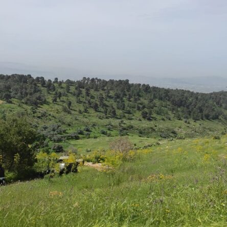 Enhance Your Jeeping Experience With Exciting Tour Packages To Jerusalem