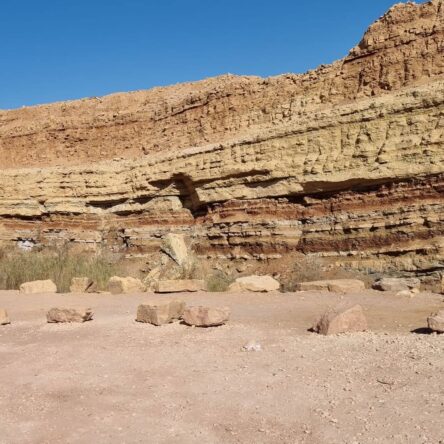 Different Tours Of Israel For First Time Visitors With Israel Jeep Tourism