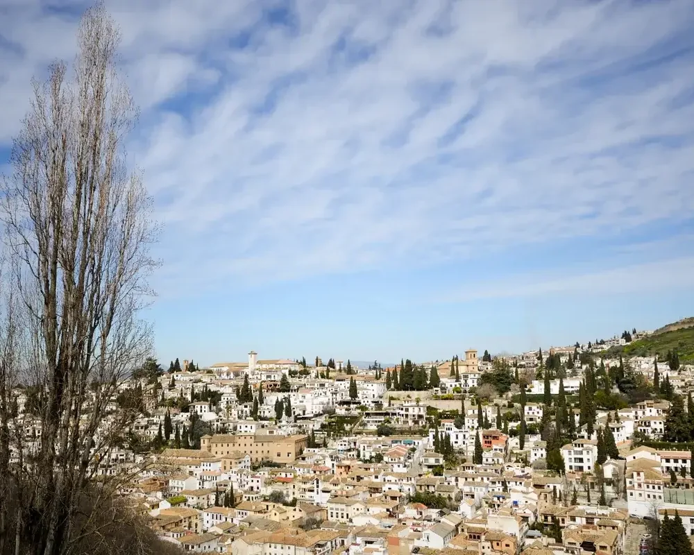 Organize Your Private Tour In Israel With Jeeping Experience