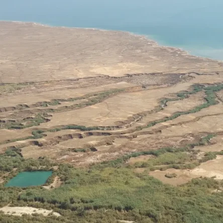 בולעני ים המלח1