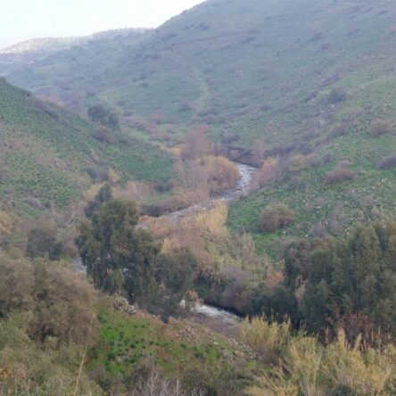 Christian Holidays To Israel From The UK: A Journey Of Faith With Israel Jeep Tourism