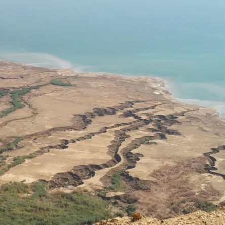 בולעני ים המלח.webp