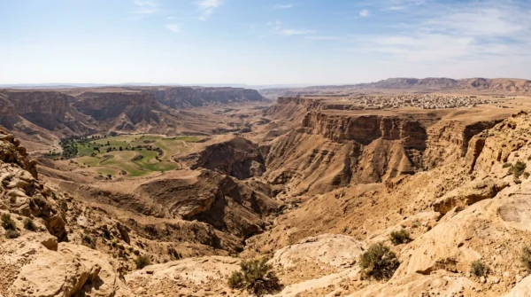 Self Drive With A Guide Vs. A Fully Guided Tour: How Much Control Do You Really Have?